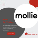 Integration von Mollie